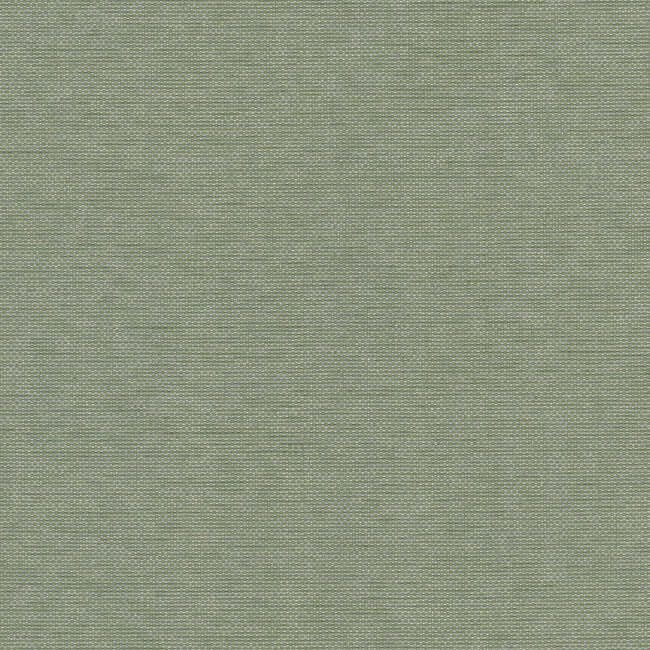 hint-willow-york-high-performance-textile-wallcovering-york-wallcoverings-203-19 - York Wallpaper Wallpaper