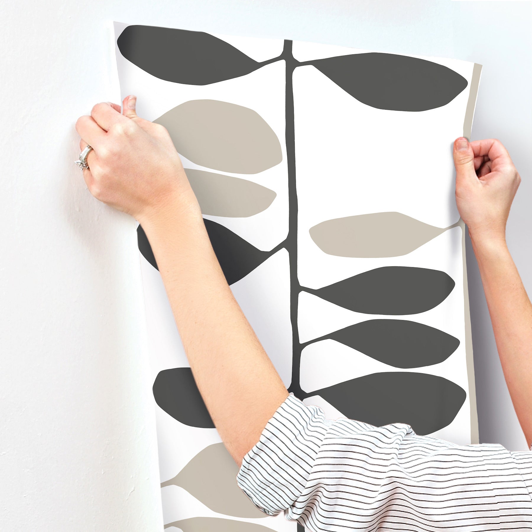 sculpted-vines-wallpaper-carbon-linen-york-wallcoverings-zm2804