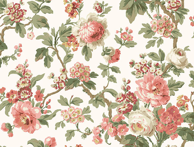 beatrix-coral-vintage-floral-wallpaper-york-wallcoverings-vp1351