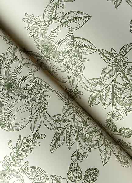 Gerty Green Fruit Toile Wallpaper - York Wallcoverings - 4173-27636 - York Wallcoverings Wallpaper