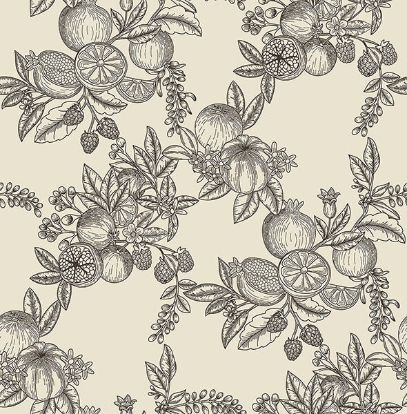 gerty-black-fruit-toile-wallpaper-york-wallcoverings-4173-27637 - York Wallcoverings Wallpaper