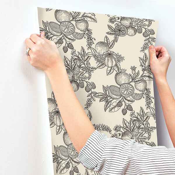 Gerty Black Fruit Toile Wallpaper - York Wallcoverings - 4173-27637 - York Wallcoverings Wallpaper