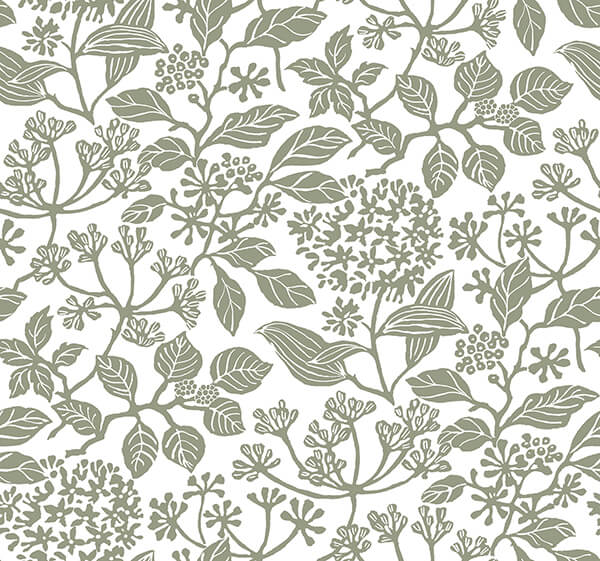 rowen-olive-botanical-wallpaper-york-wallcoverings-vp1343 - York Wallcoverings Wallpaper