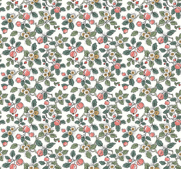 framboise-pink-berry-vines-wallpaper-york-wallcoverings-vp1412 - York Wallcoverings Wallpaper
