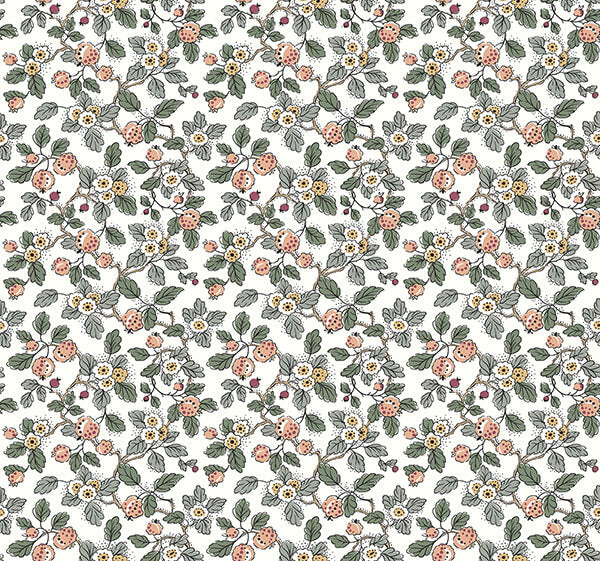 framboise-blush-berry-vines-wallpaper-york-wallcoverings-vp1414 - York Wallcoverings Wallpaper