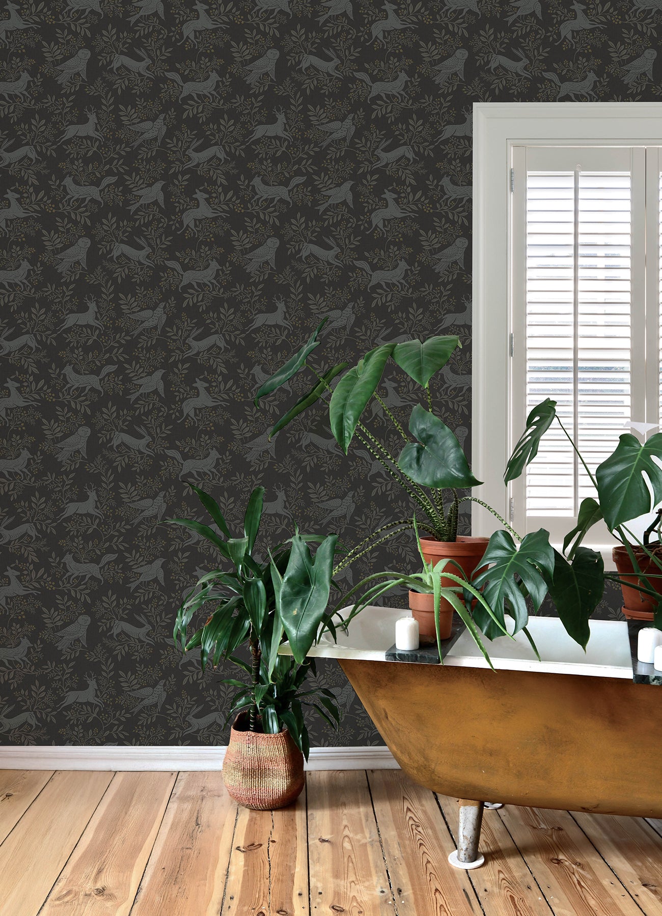 revelry-black-forest-frolic-wallpaper-york-wallcoverings-4169-83114