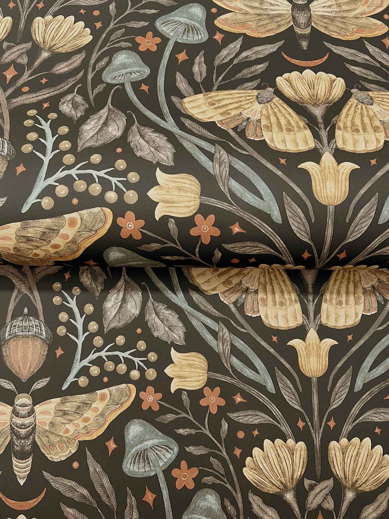 Mystic Moth Black Forest Magic Wallpaper - York Wallcoverings - 4169-83116 - York Wallcoverings Wallpaper