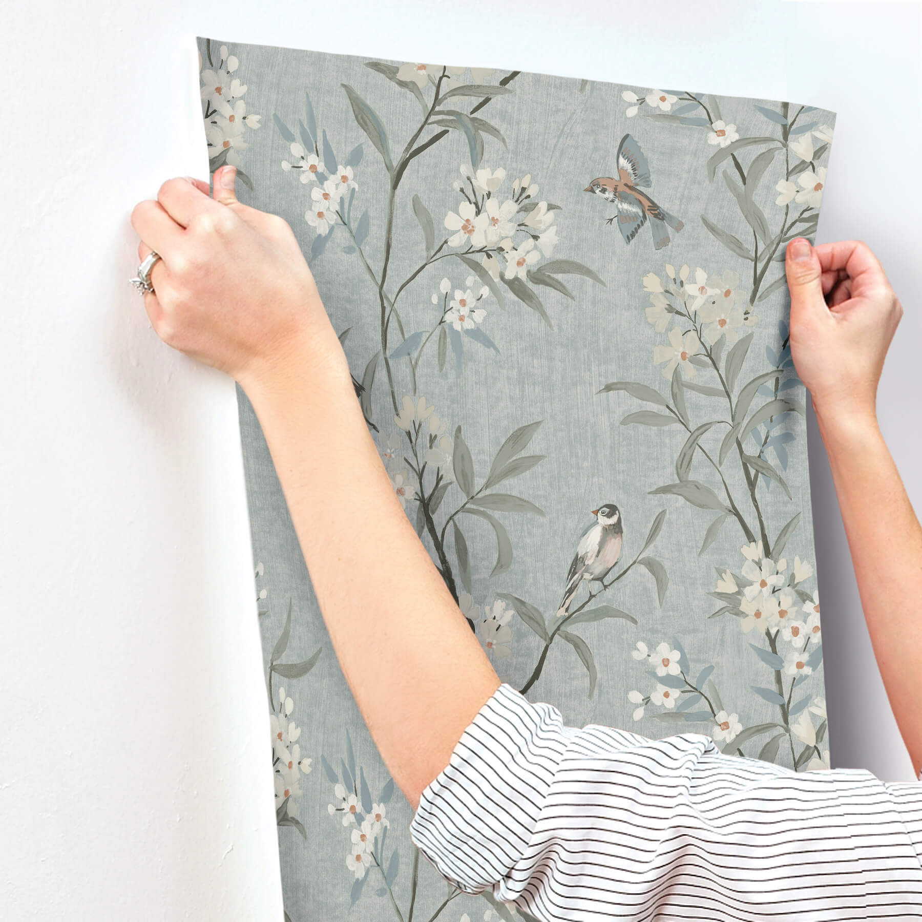 tea-olive-blue-finch-frolic-wallpaper-york-wallcoverings-4169-83139 - York Wallcoverings Wallpaper