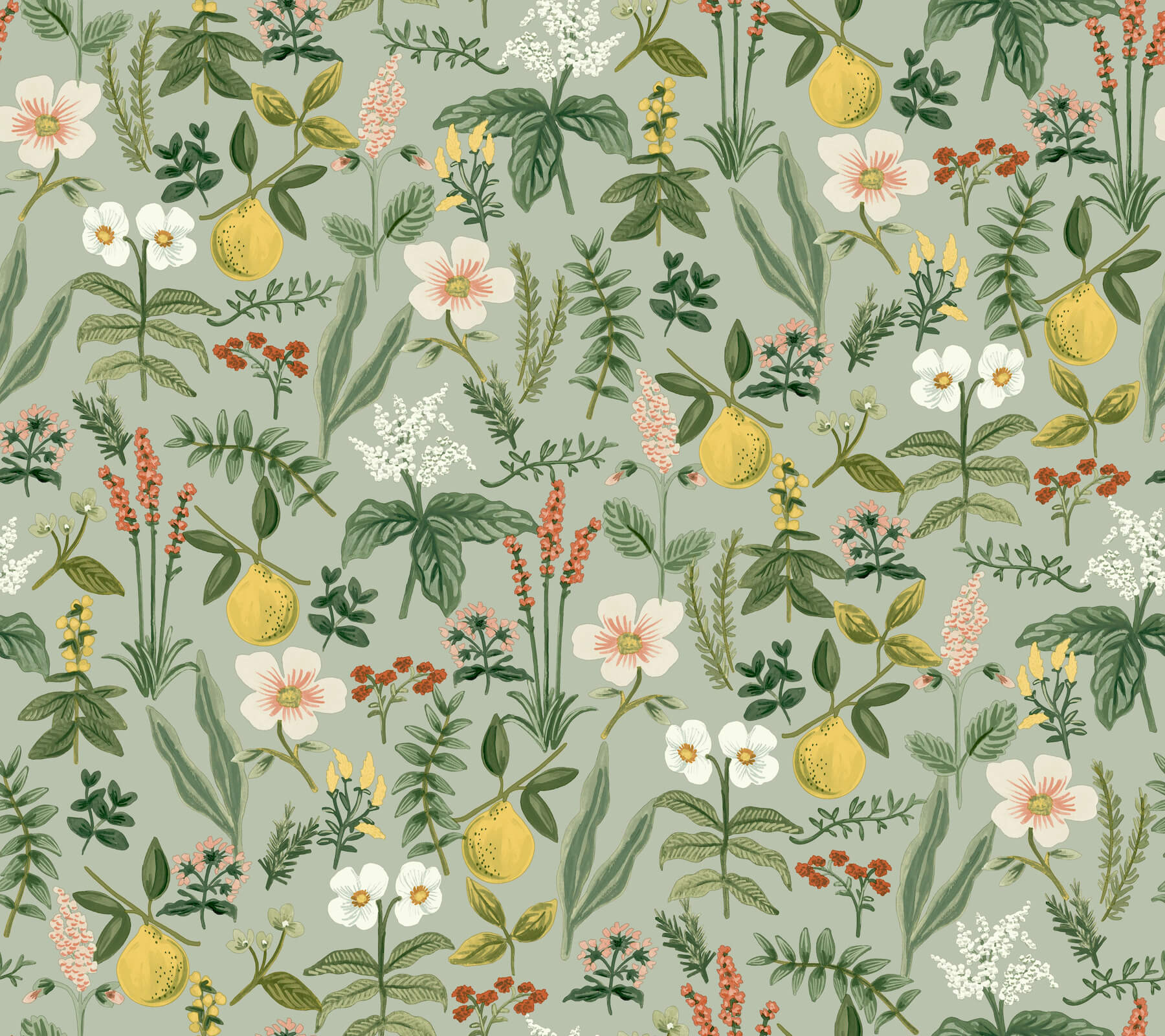 herb-garden-sage-botanical-premium-peel-stick-wallpaper-york-wallcoverings-psw1675rl - York Wallcoverings Wallpaper
