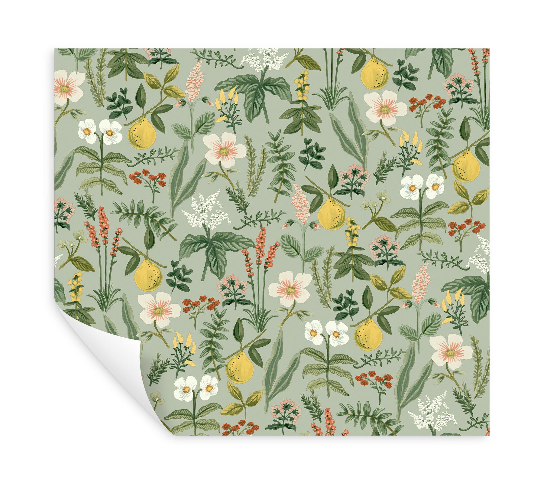 herb-garden-sage-botanical-premium-peel-stick-wallpaper-york-wallcoverings-psw1675rl