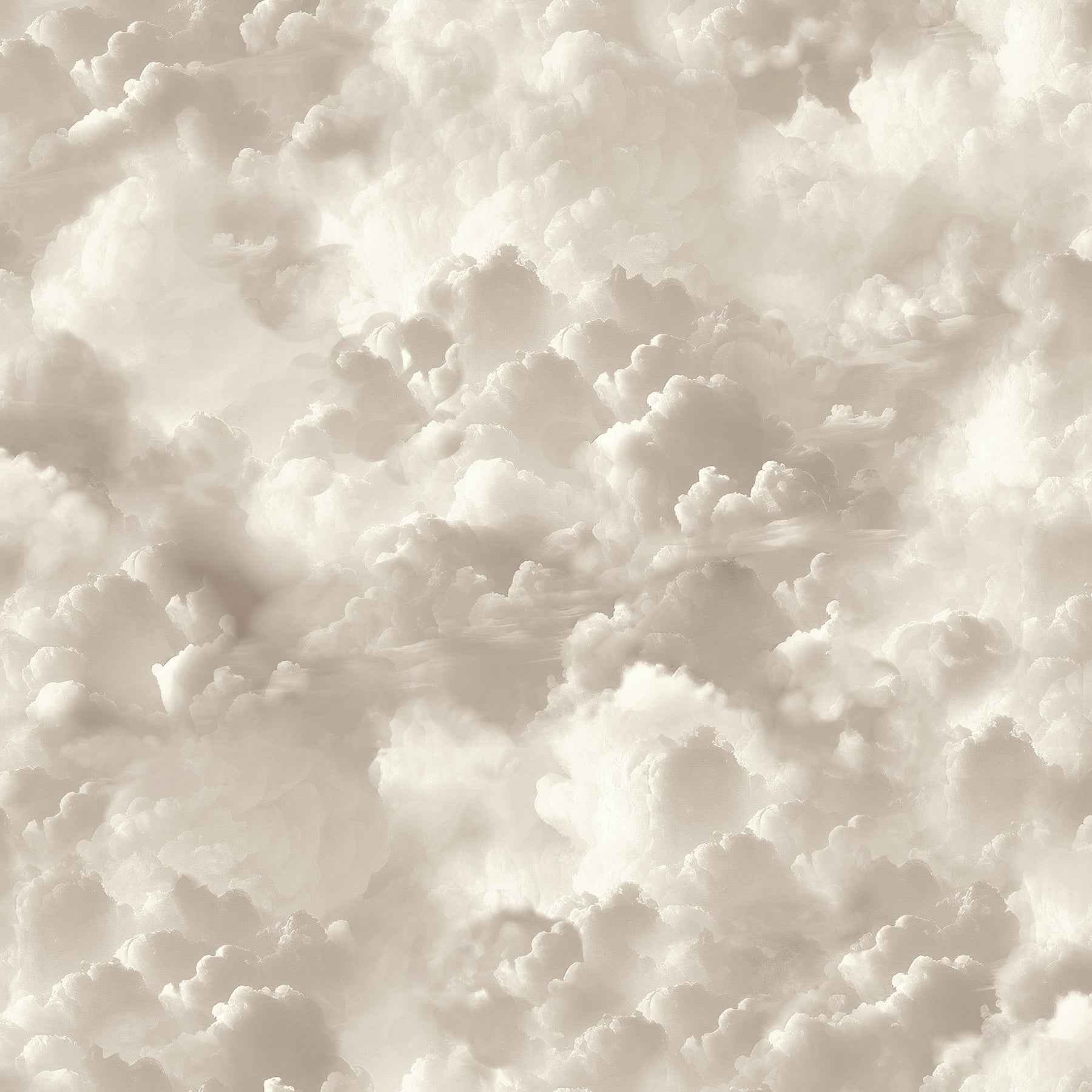 Merryweather Neutral Cloudy Skies Wallpaper - York Wallcoverings - AH100189AH