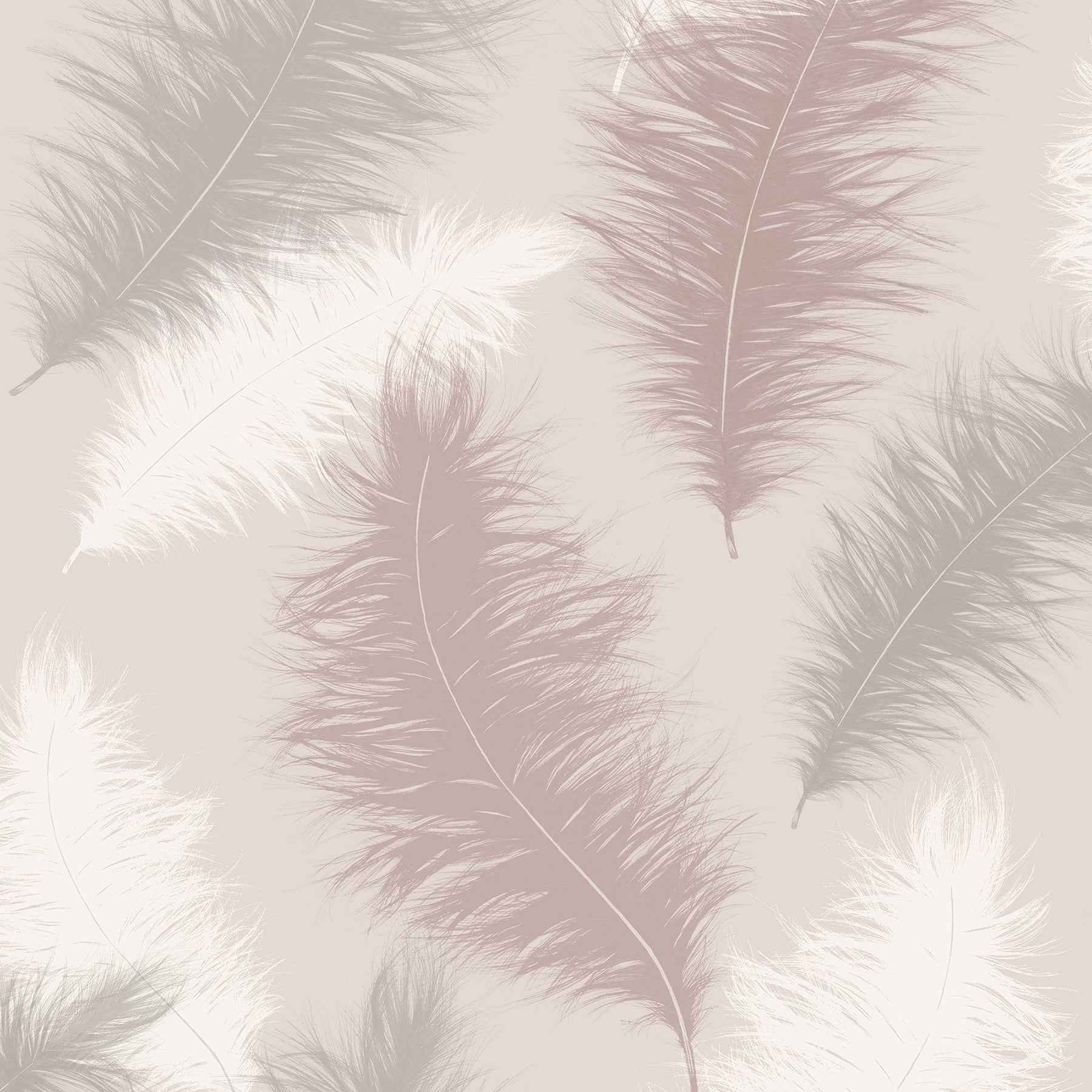 Sussurro Pink Feathers Wallpaper - York Wallcoverings - AH901706