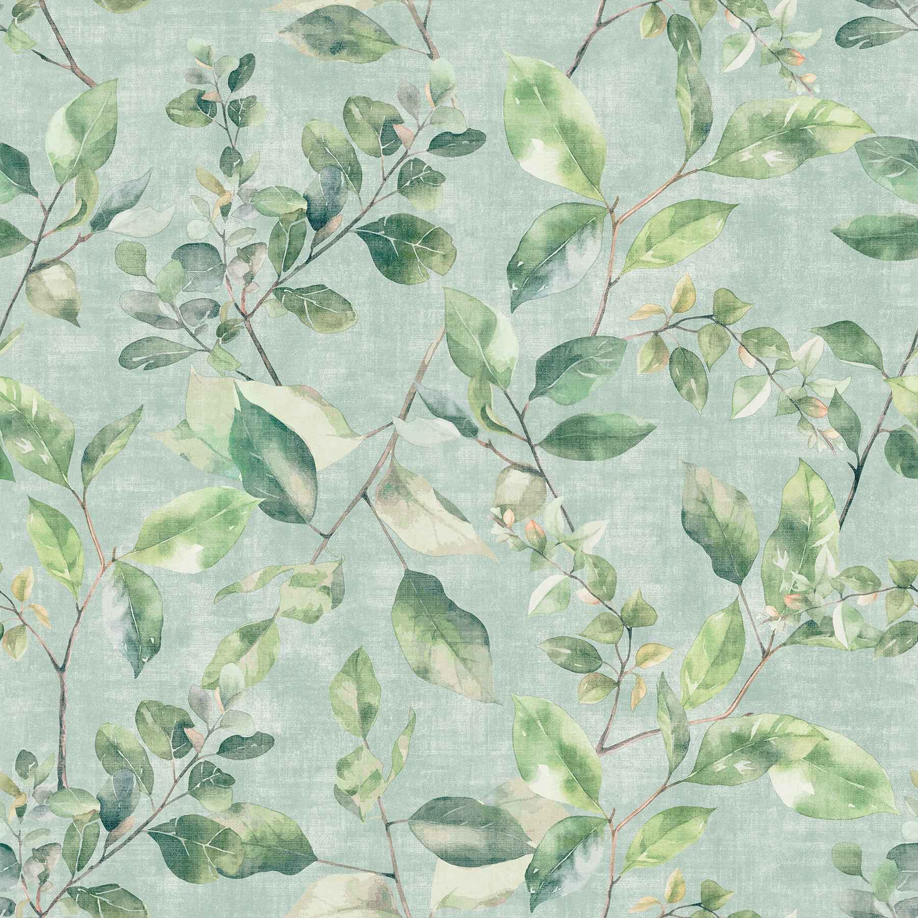 Lucene Green Spring Vines Wallpaper - York Wallcoverings - AH925501 - York Wallcoverings Wallpaper