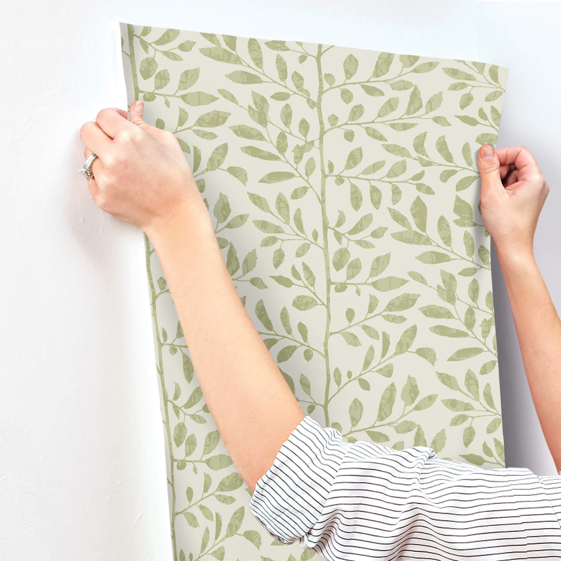 sagecrest-sage-sapling-wallpaper-york-wallcoverings-4177-83305 - York Wallcoverings Wallpaper