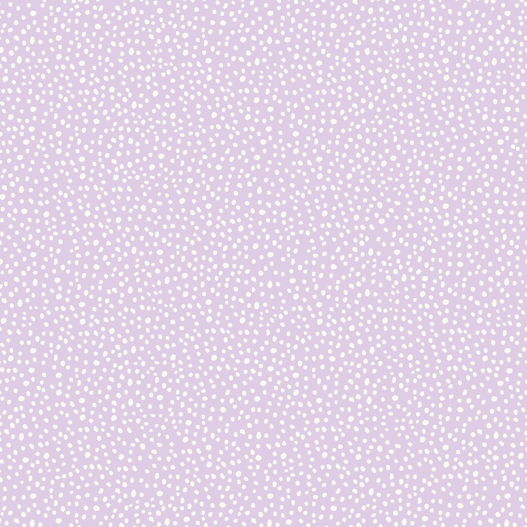 dotty-lavender-petite-polka-dot-wallpaper-york-wallcoverings-4203-27579