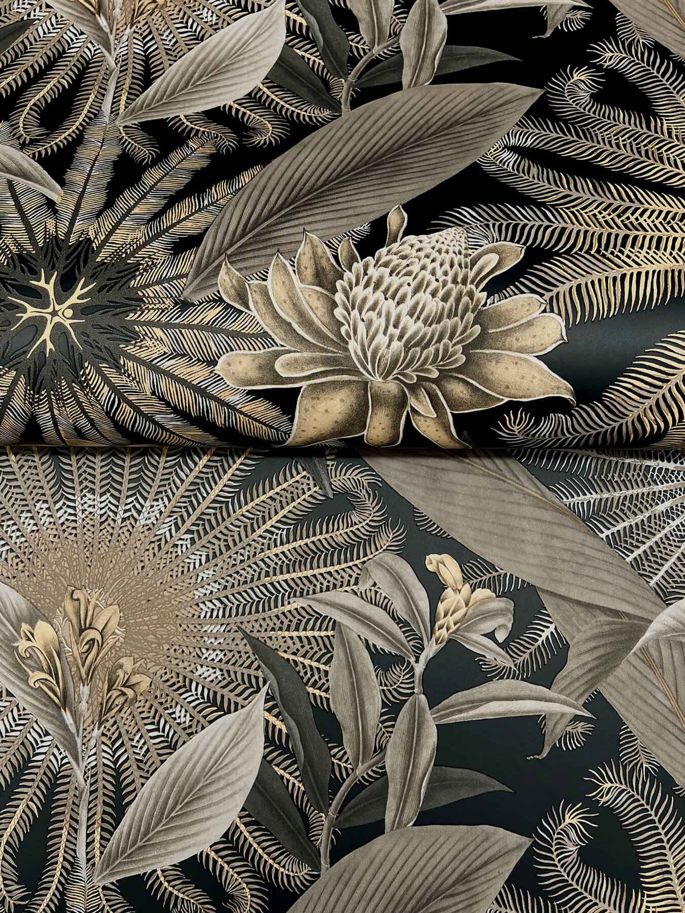 Enchanted Garden Black Tropical Wallpaper - York Wallcoverings - VR1531 - York Wallcoverings Wallpaper