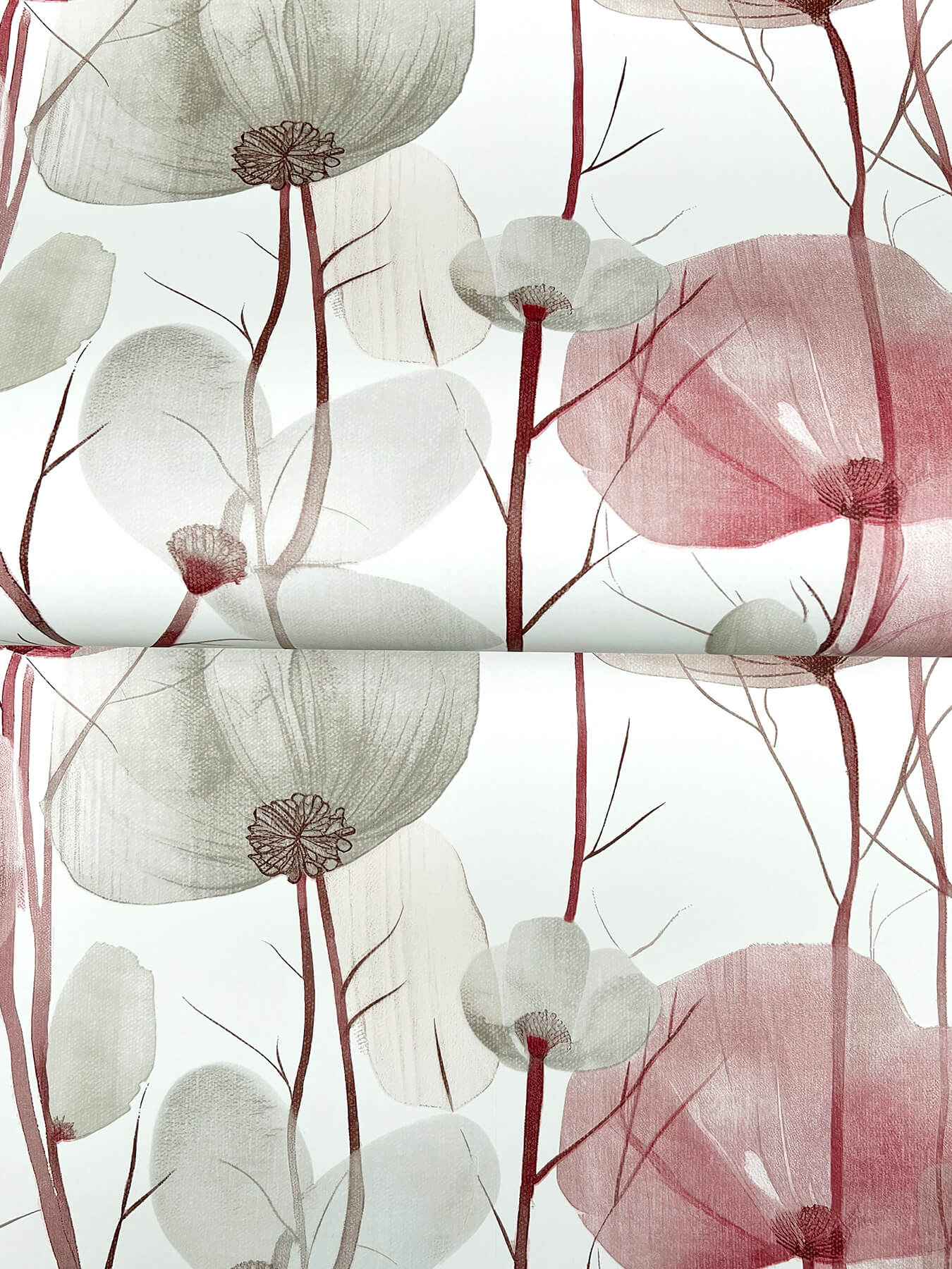 Cotswolds Poppies Red Floral Wallpaper - York Wallcoverings - VR1536 - York Wallcoverings Wallpaper