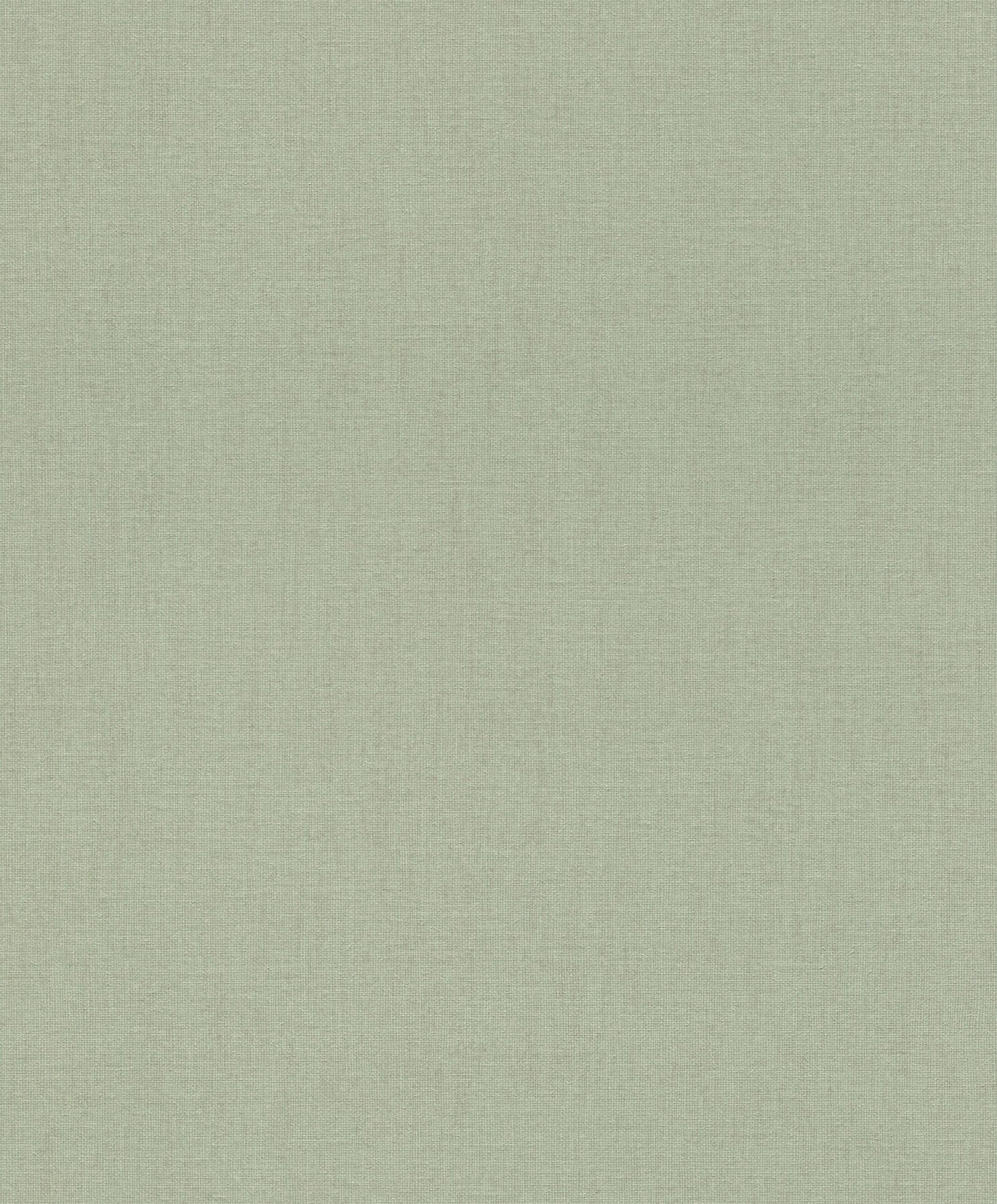 naim-sage-solid-texture-wallpaper-york-wallcoverings-4202-484588 - York Wallcoverings Wallpaper