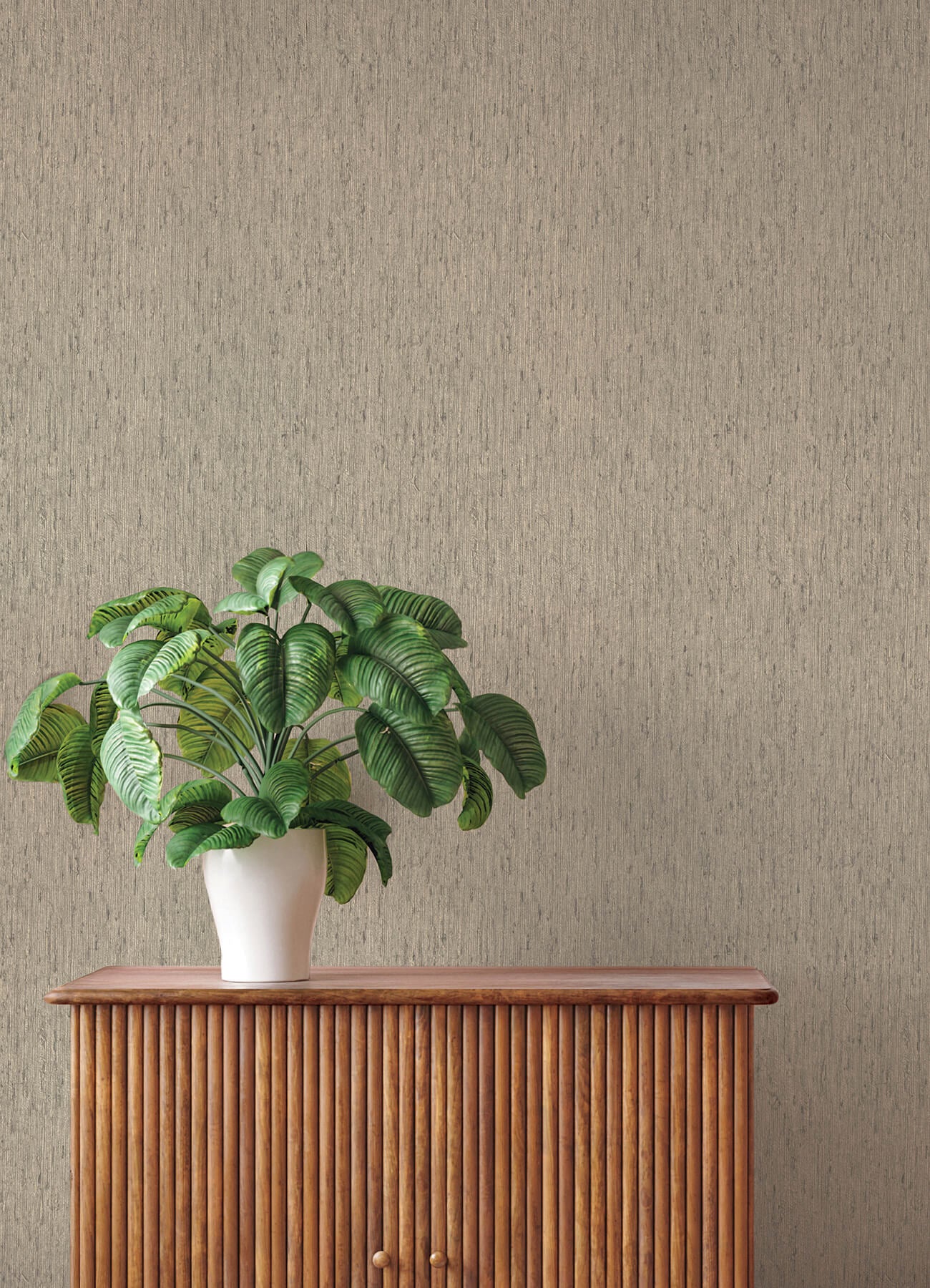 roison-dove-birch-bark-wallpaper-york-wallcoverings-4202-571035 - York Wallcoverings Papel pintado