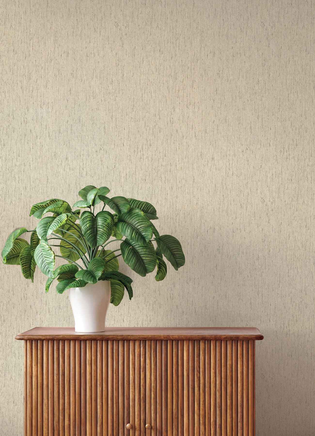 Roison Bone Birch Bark Wallpaper - York Wallcoverings - 4202-571073 - York Wallcoverings Wallpaper