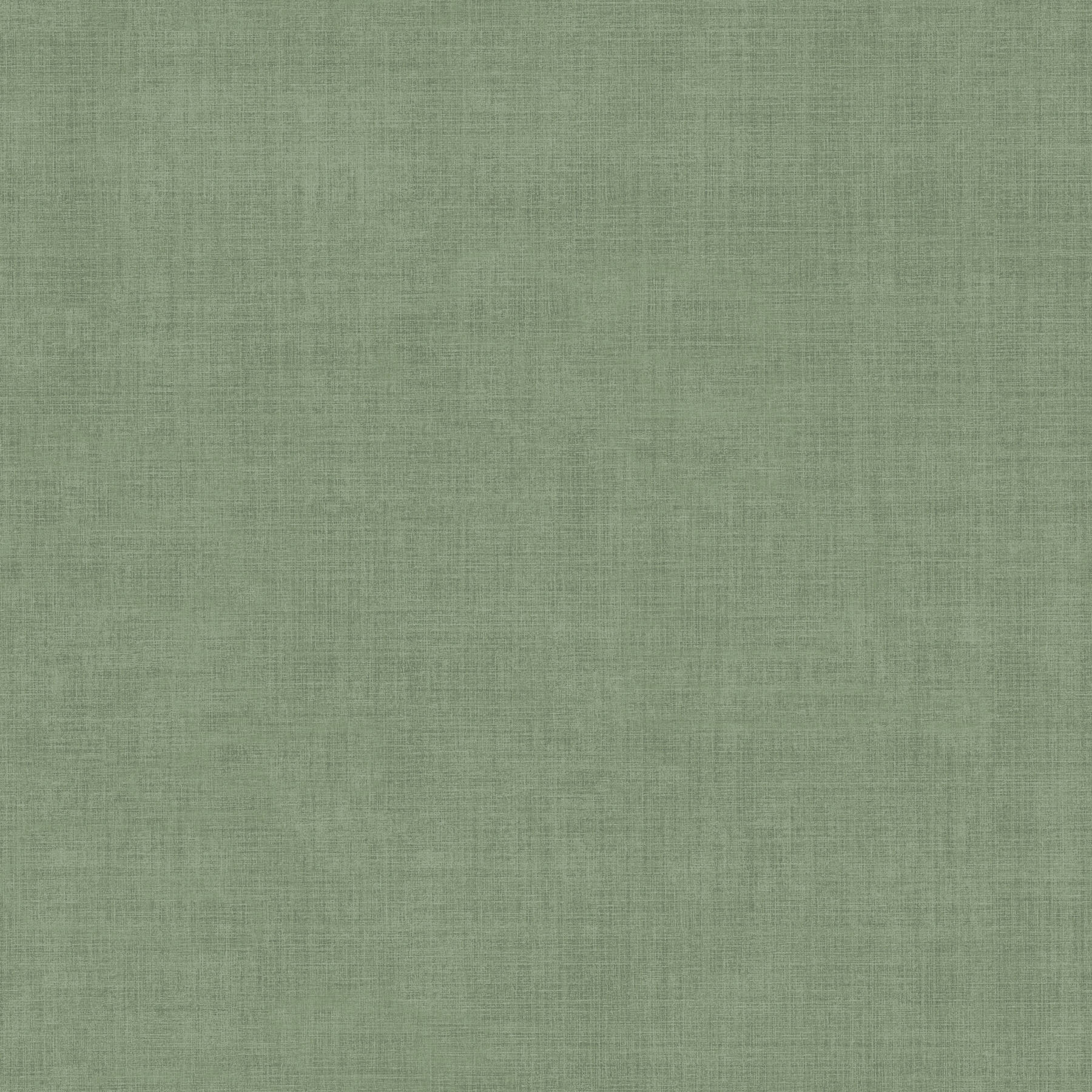 midolin-moss-texture-wallpaper-york-wallcoverings-4201-16026