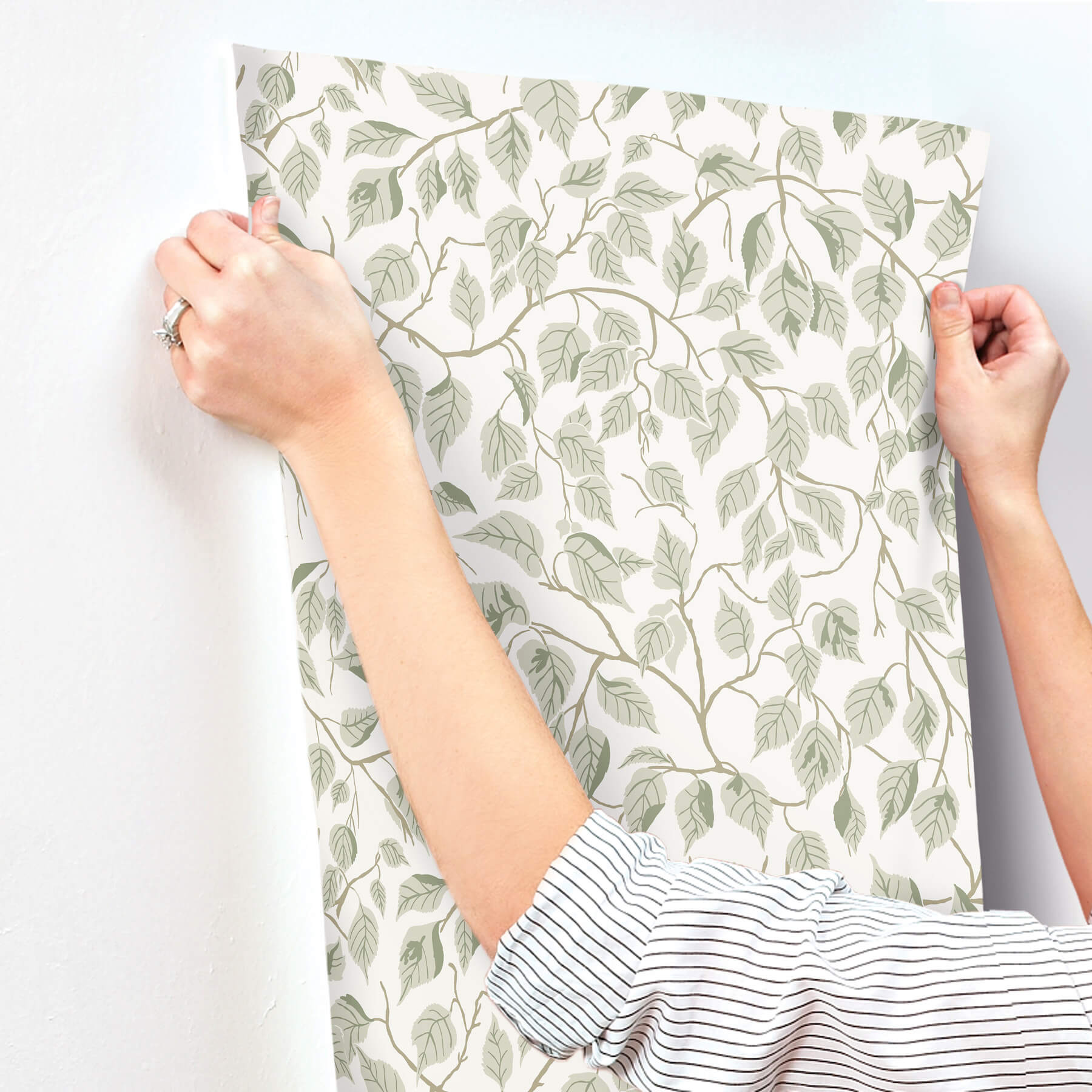 hngbjrk-sage-vine-wallpaper-york-wallcoverings-4201-20107 - York Wallcoverings Wallpaper