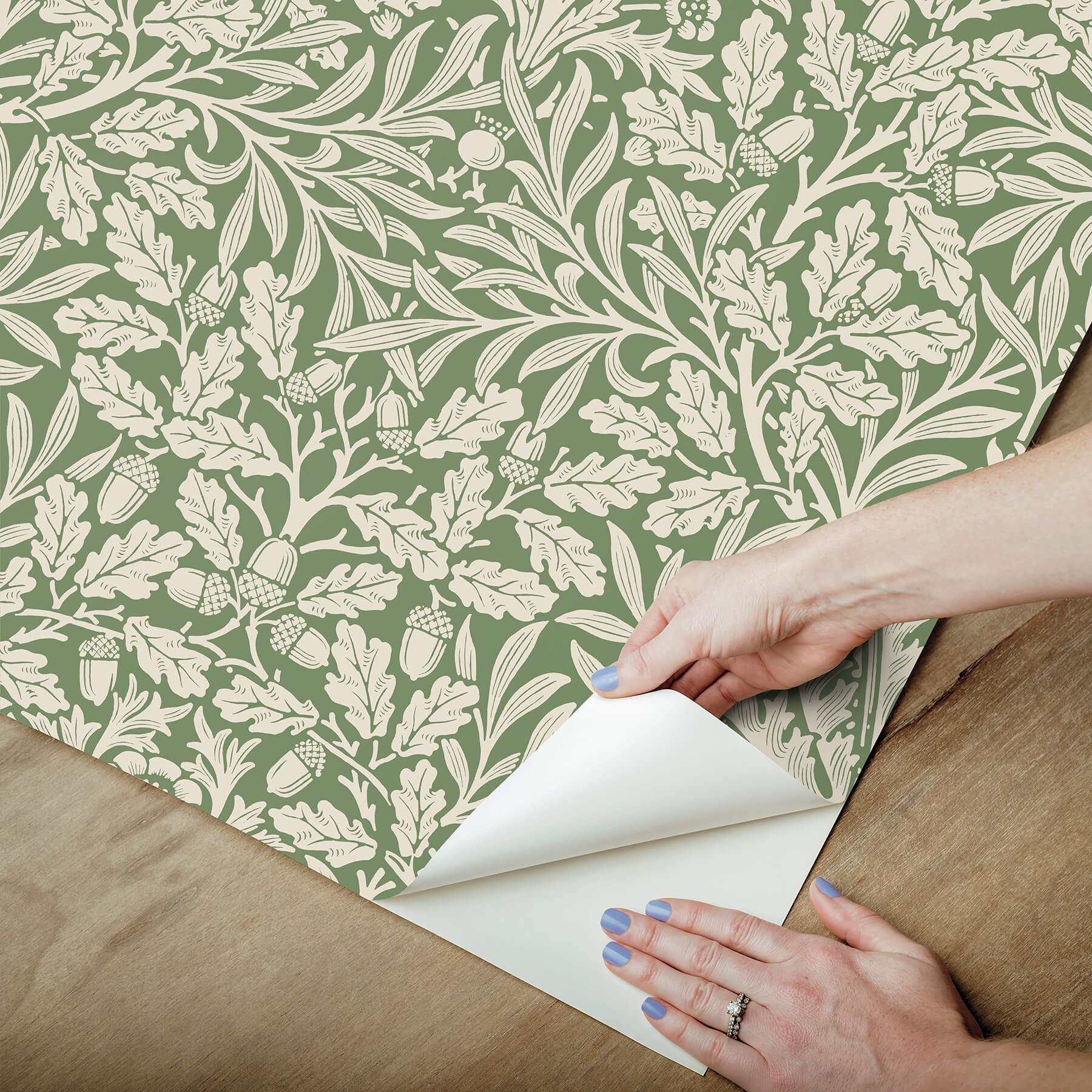 acorn-forest-peel-and-stick-wallpaper-york-wallcoverings-mcs6587 - York Wallcoverings Wallpaper