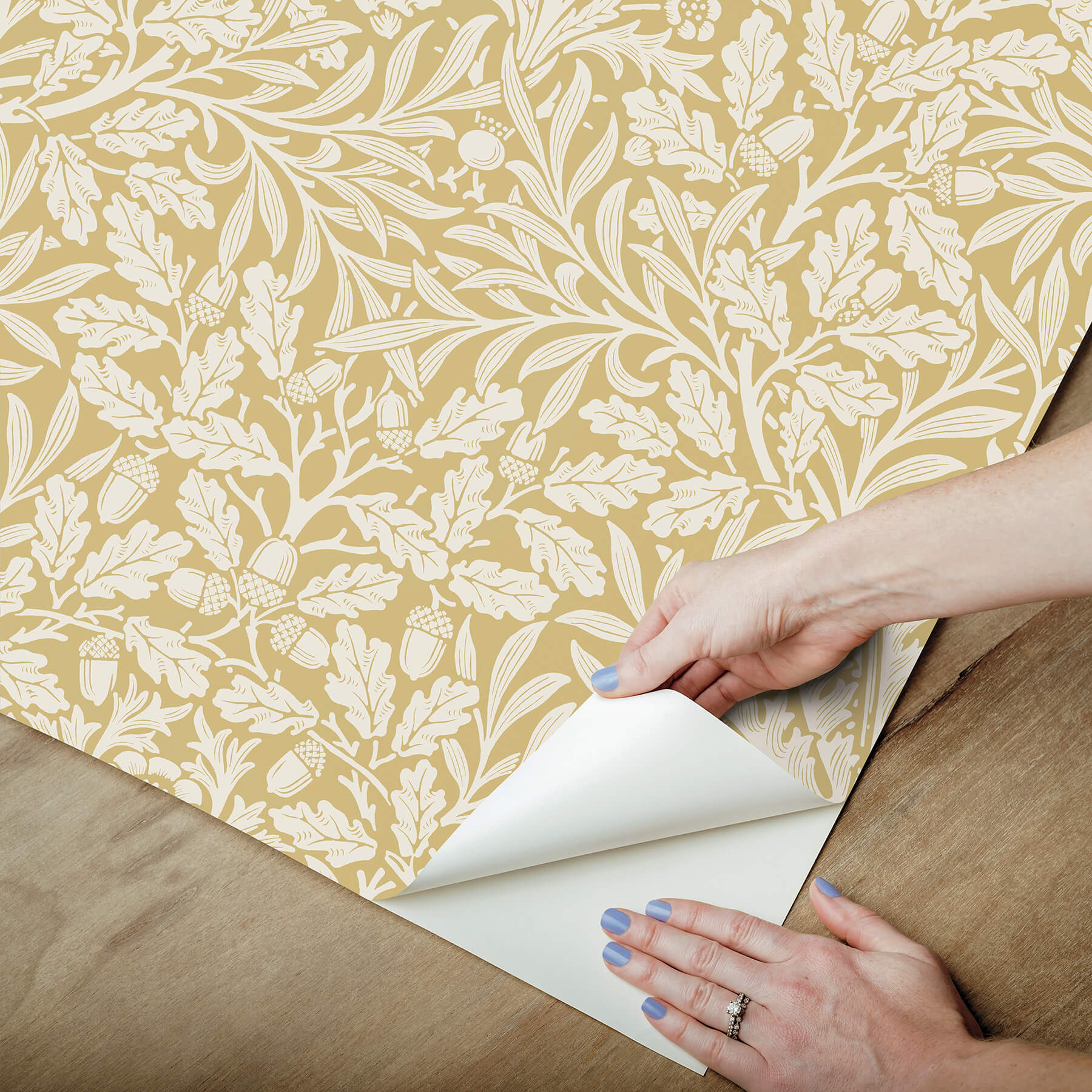 acorn-cowslip-peel-and-stick-wallpaper-york-wallcoverings-mcs6588 - York Wallcoverings Wallpaper