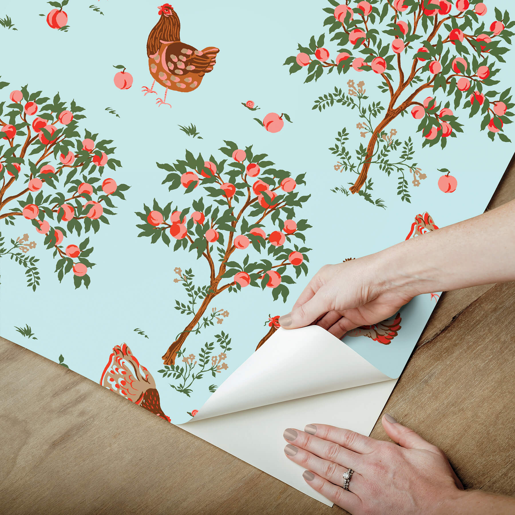 hen-house-aqua-peel-and-stick-wallpaper-york-wallcoverings-pfs6562 - York Wallcoverings Wallpaper