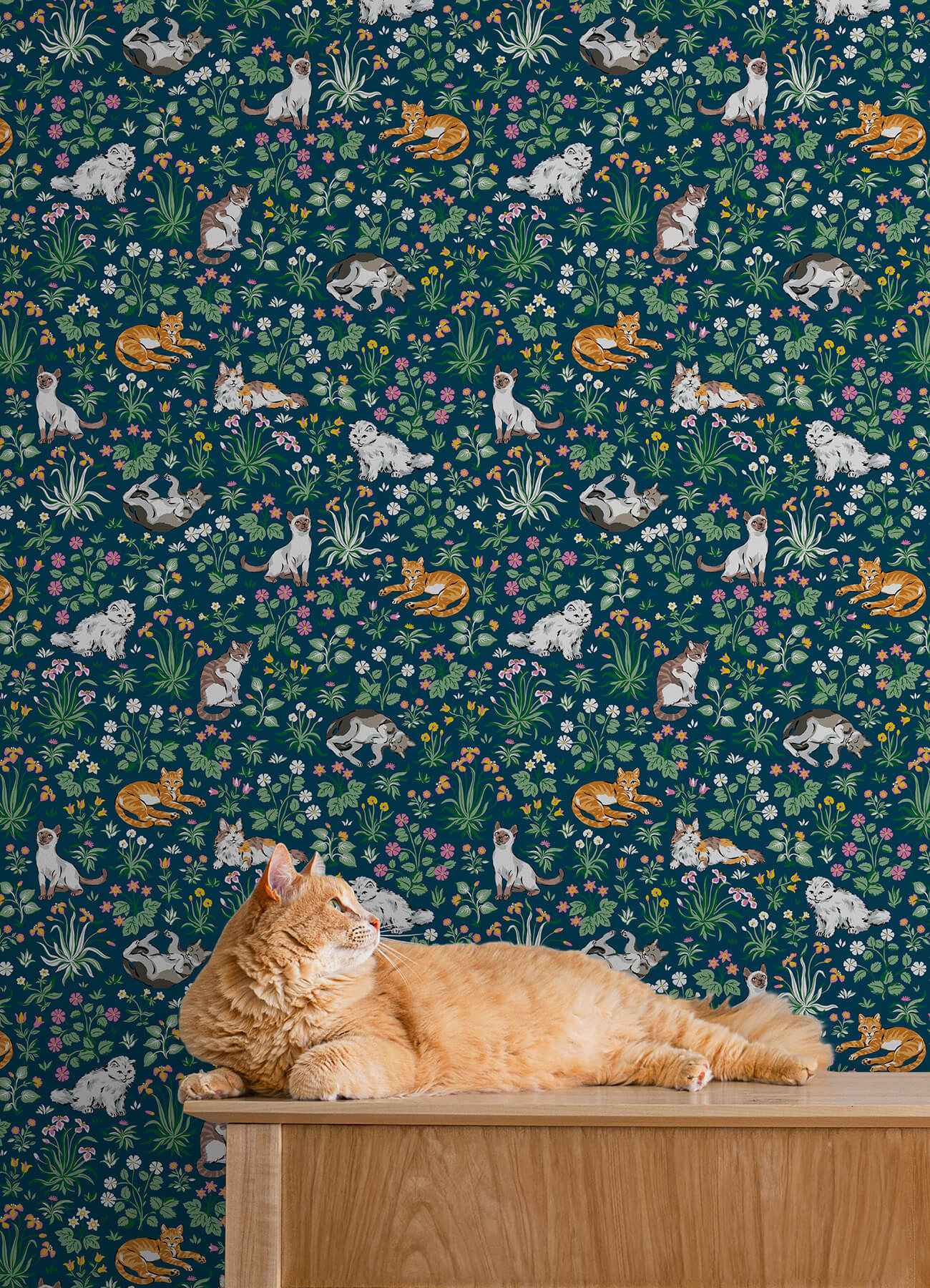 Must Love Cats Indigo Peel and Stick Wallpaper - York Wallcoverings - PFS6566 - York Wallcoverings Wallpaper