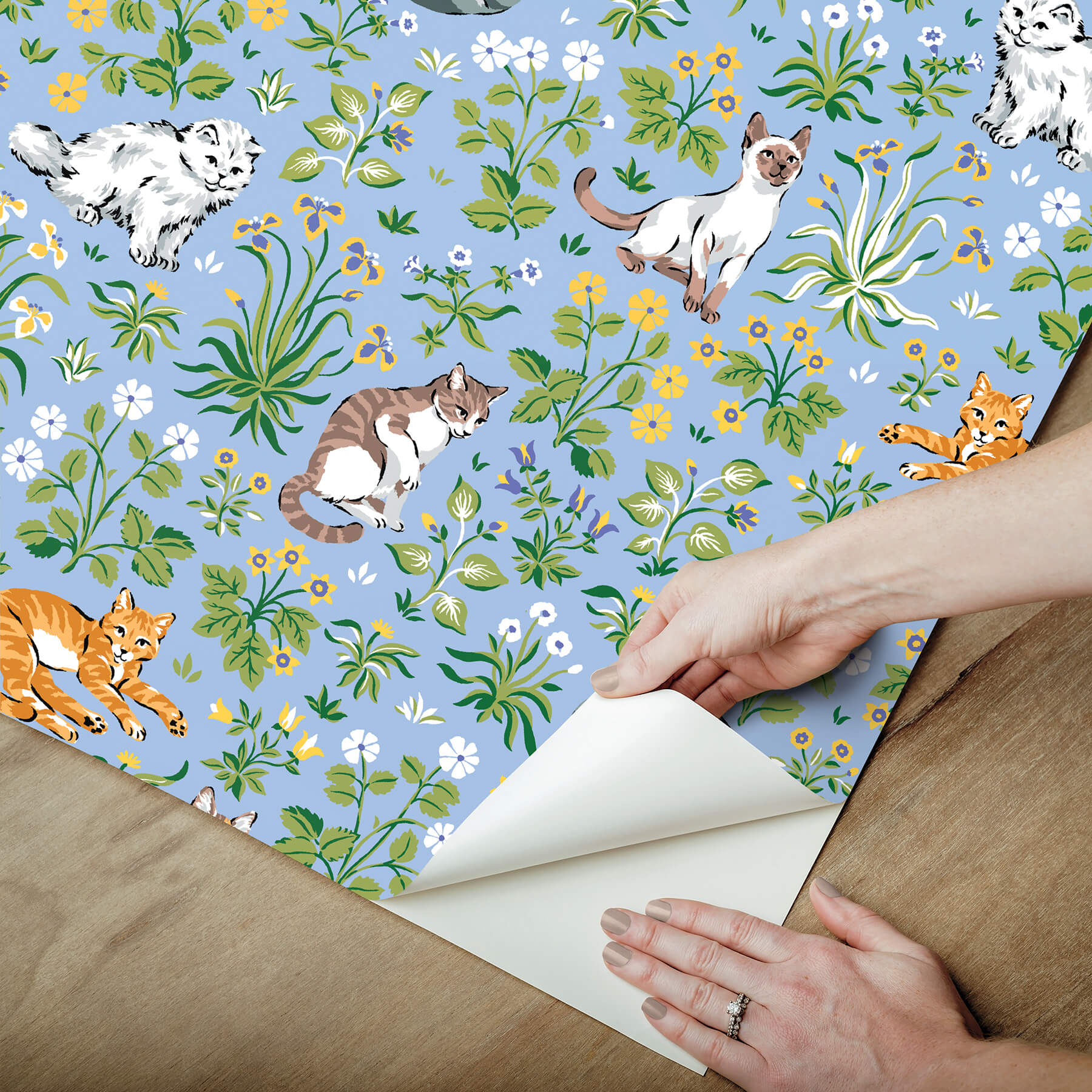 must-love-cats-blue-peel-and-stick-wallpaper-york-wallcoverings-pfs6567 - York Wallcoverings Wallpaper
