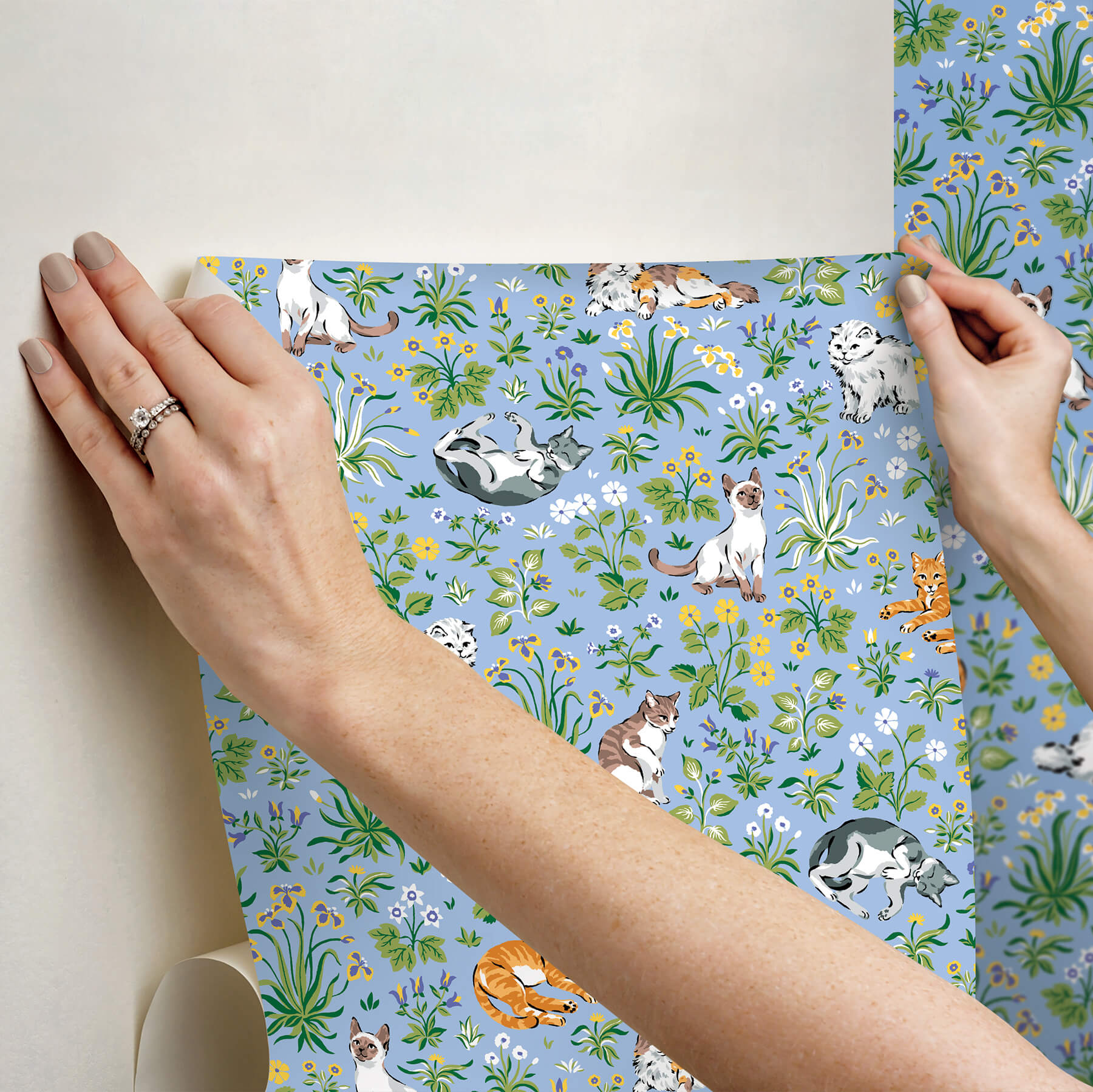 must-love-cats-blue-peel-and-stick-wallpaper-york-wallcoverings-pfs6567 - York Wallcoverings Wallpaper