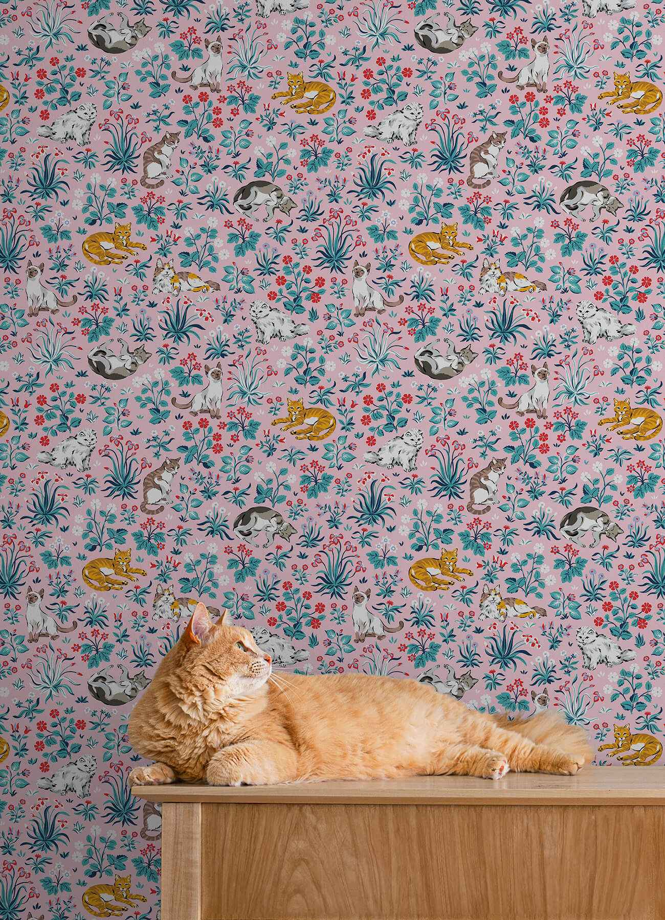 Must Love Cats Pink Peel and Stick Wallpaper - York Wallcoverings - PFS6569 - York Wallcoverings Wallpaper