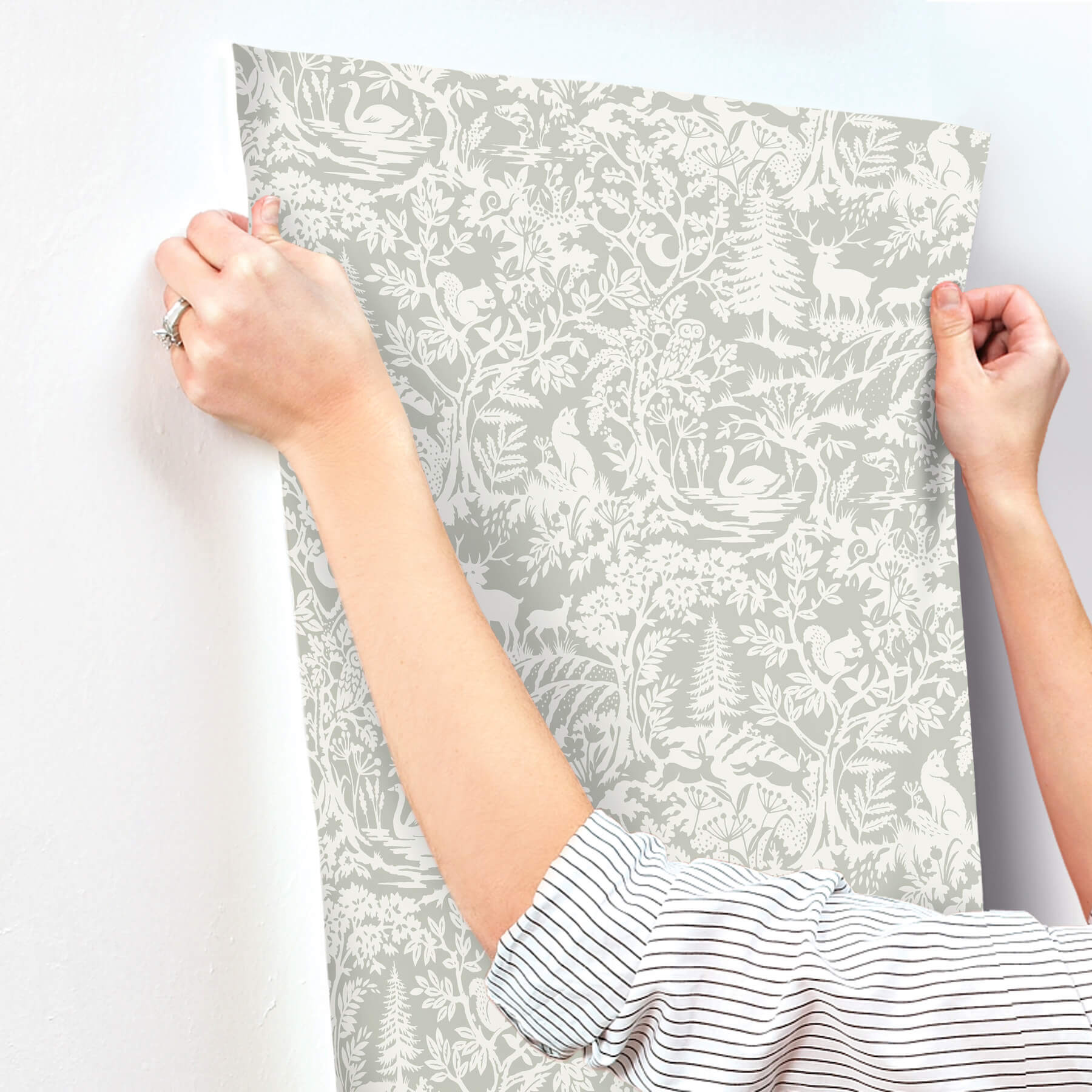 alrick-sage-forest-venture-wallpaper-york-wallcoverings-3125-72323 - York Wallcoverings Papel pintado