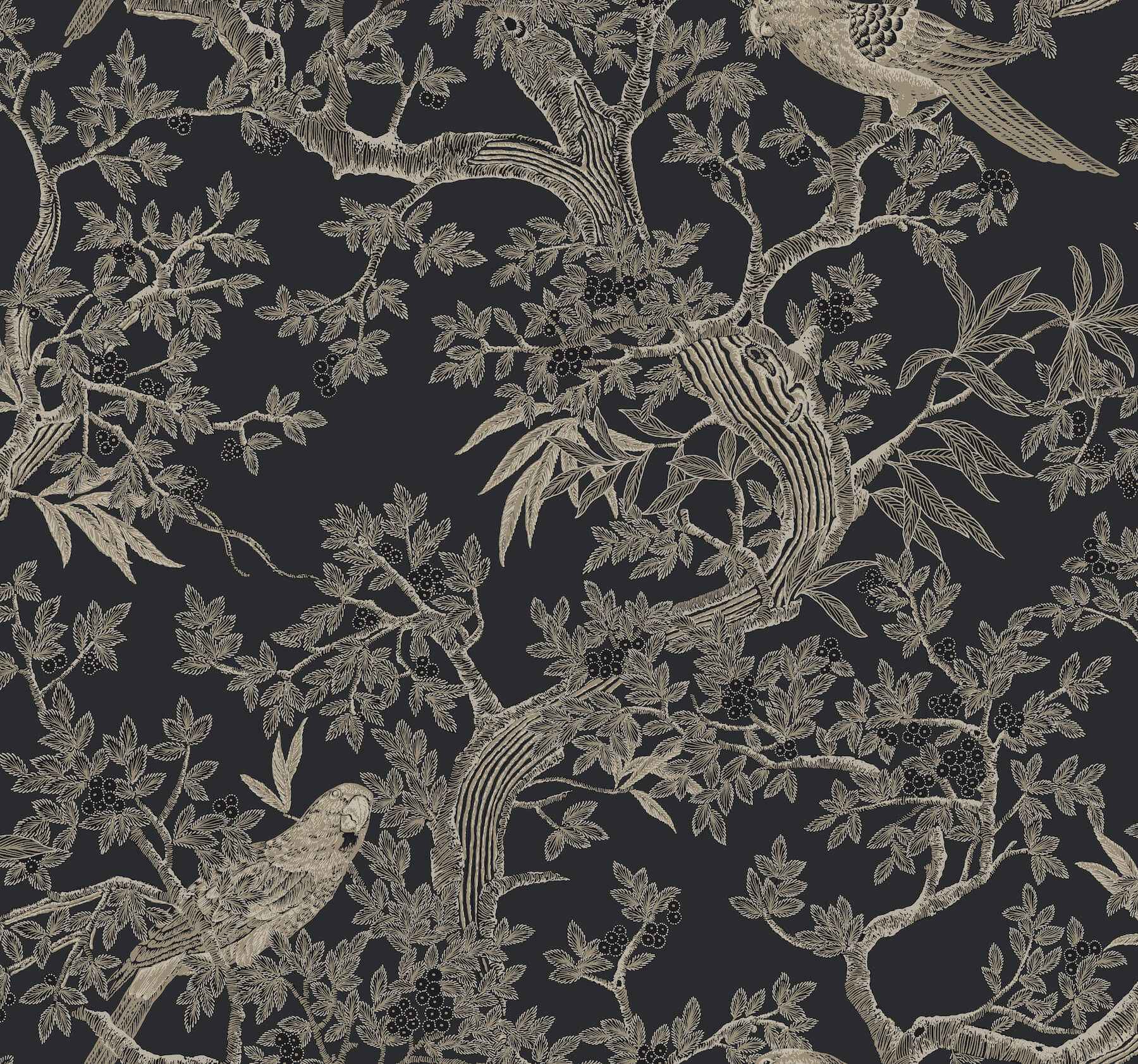 Regal Ridge Black Trailing Tree Wallpaper - York Wallcoverings - 4211-83570 - York Wallcoverings Wallpaper