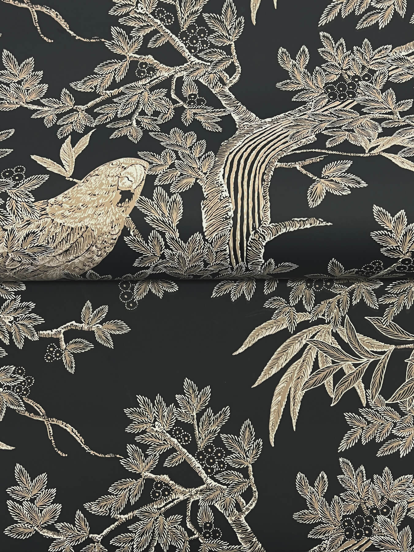 regal-ridge-black-trailing-tree-wallpaper-york-wallcoverings-4211-83570 - York Wallcoverings Wallpaper