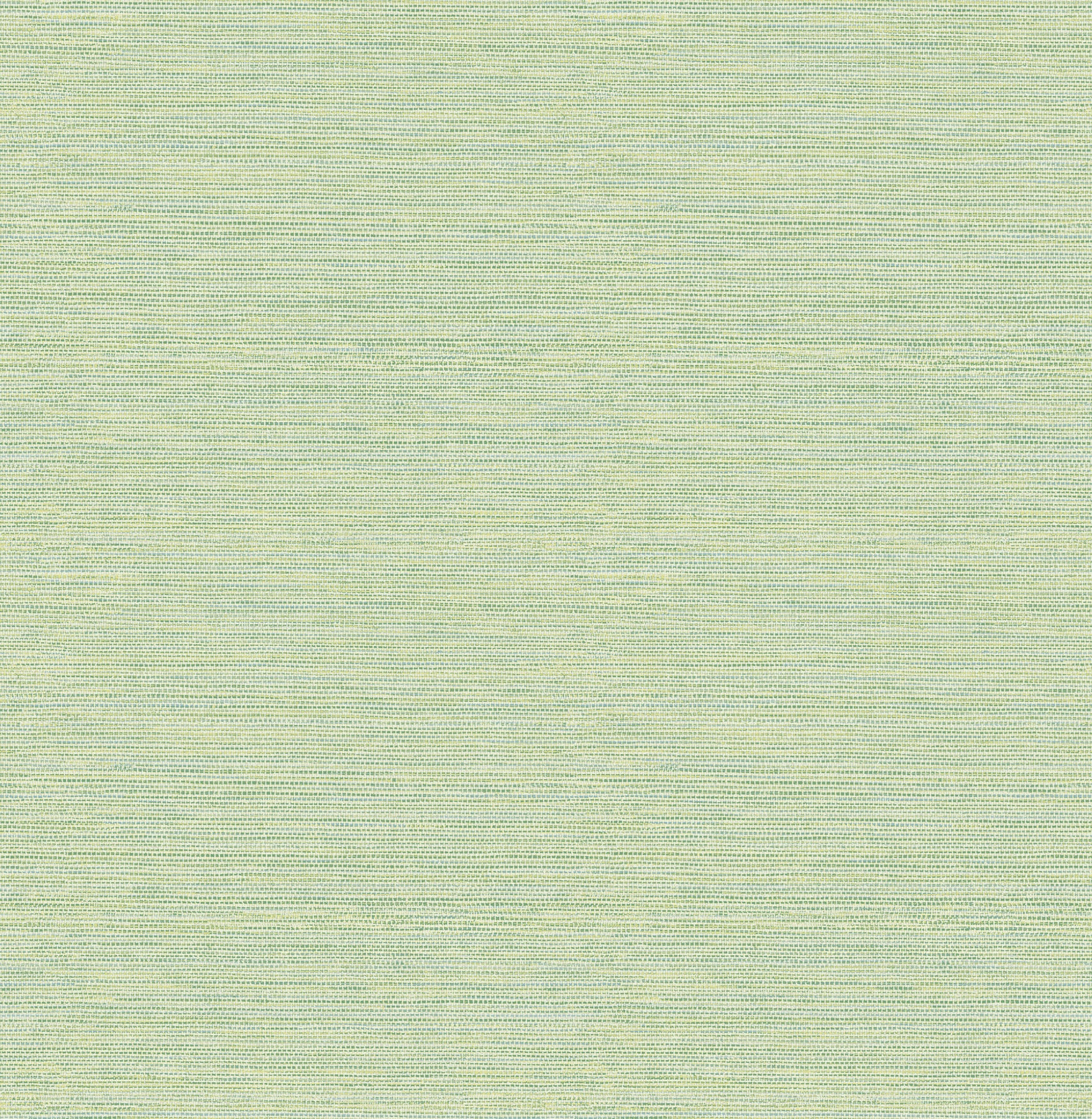 agave-green-faux-grasscloth-wallpaper-york-wallcoverings-4197-24284 - York Wallpaper Wallpaper