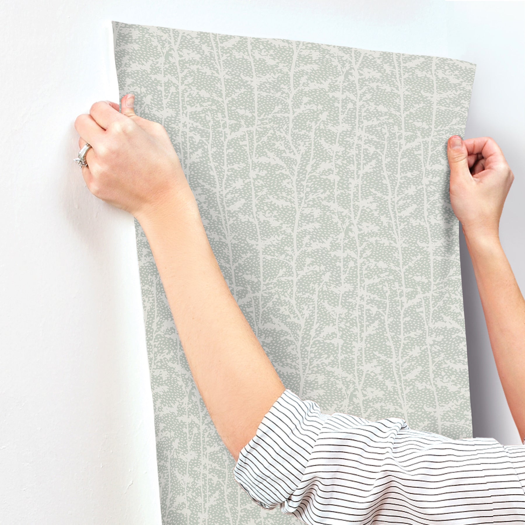 layton-sage-climbing-vines-wallpaper-york-wallcoverings-4197-84000 - York Wallpaper Wallpaper