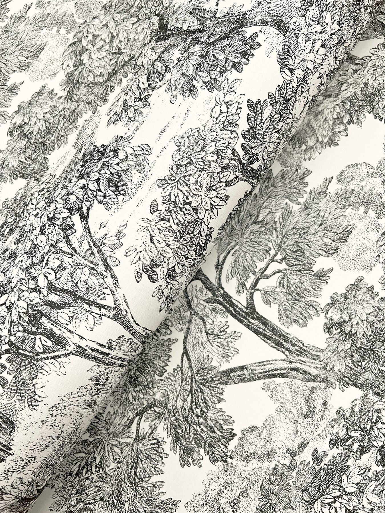 spinney-black-toile-wallpaper-york-wallcoverings-4199-72558 - York Wallcoverings Wallpaper