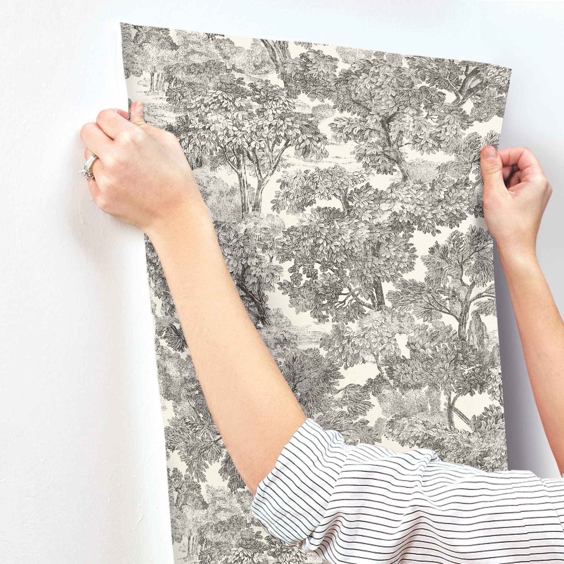 spinney-black-toile-wallpaper-york-wallcoverings-4199-72558 - York Wallcoverings Wallpaper