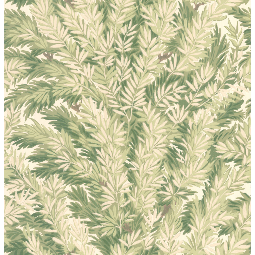 Florencecourt - Olive