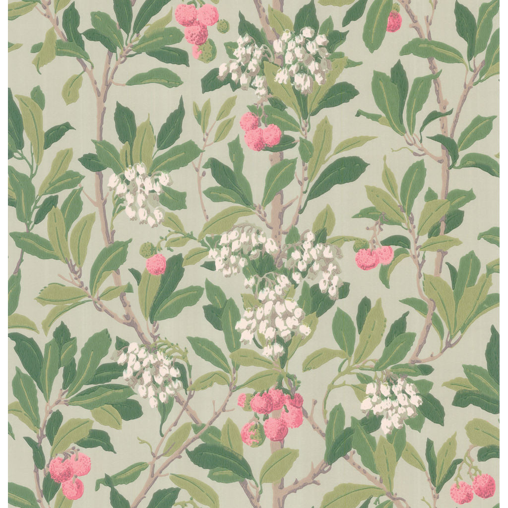 Strawberry Tree - Pink & Duck Egg - Cole & Son Wallpaper