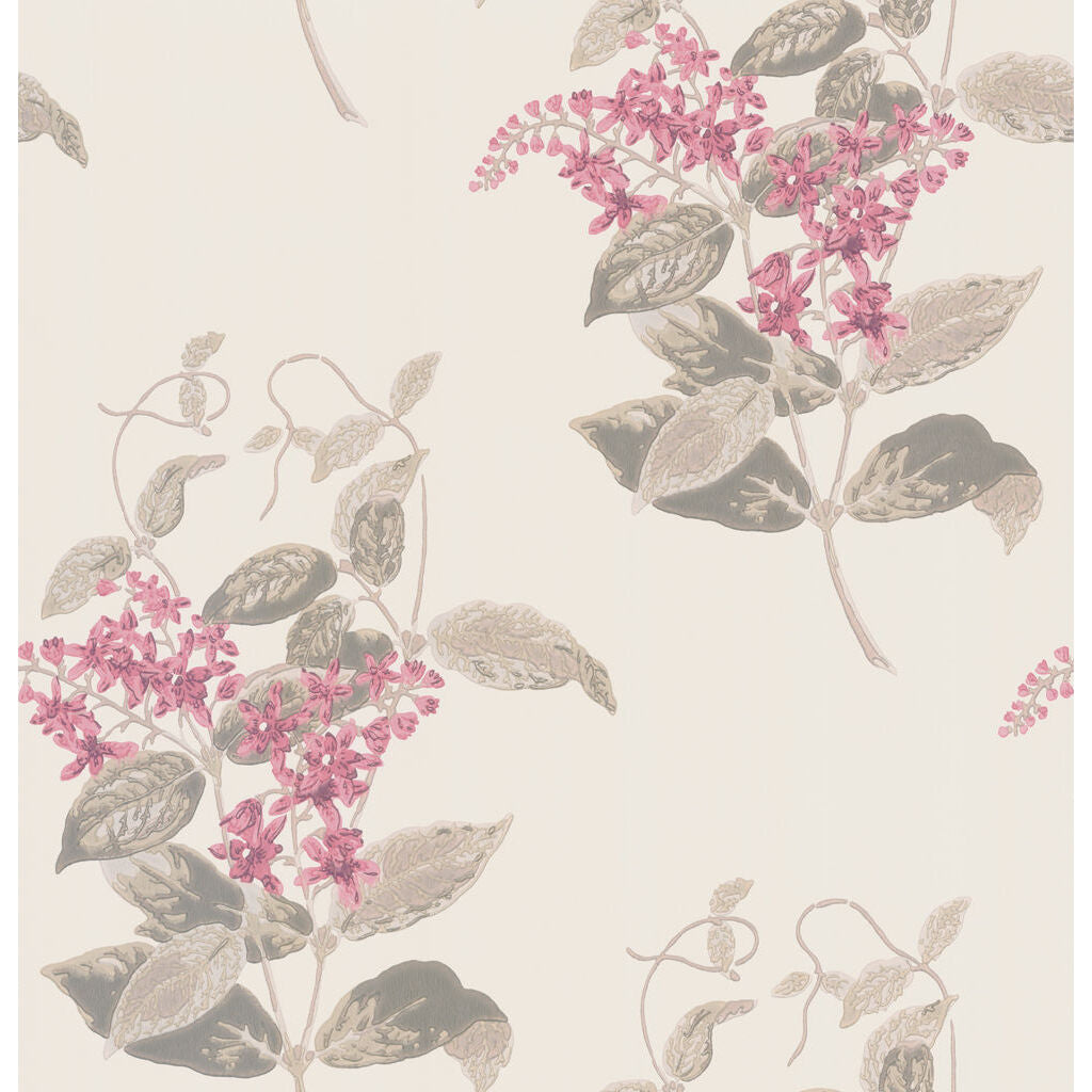 Madras Violet - Pink