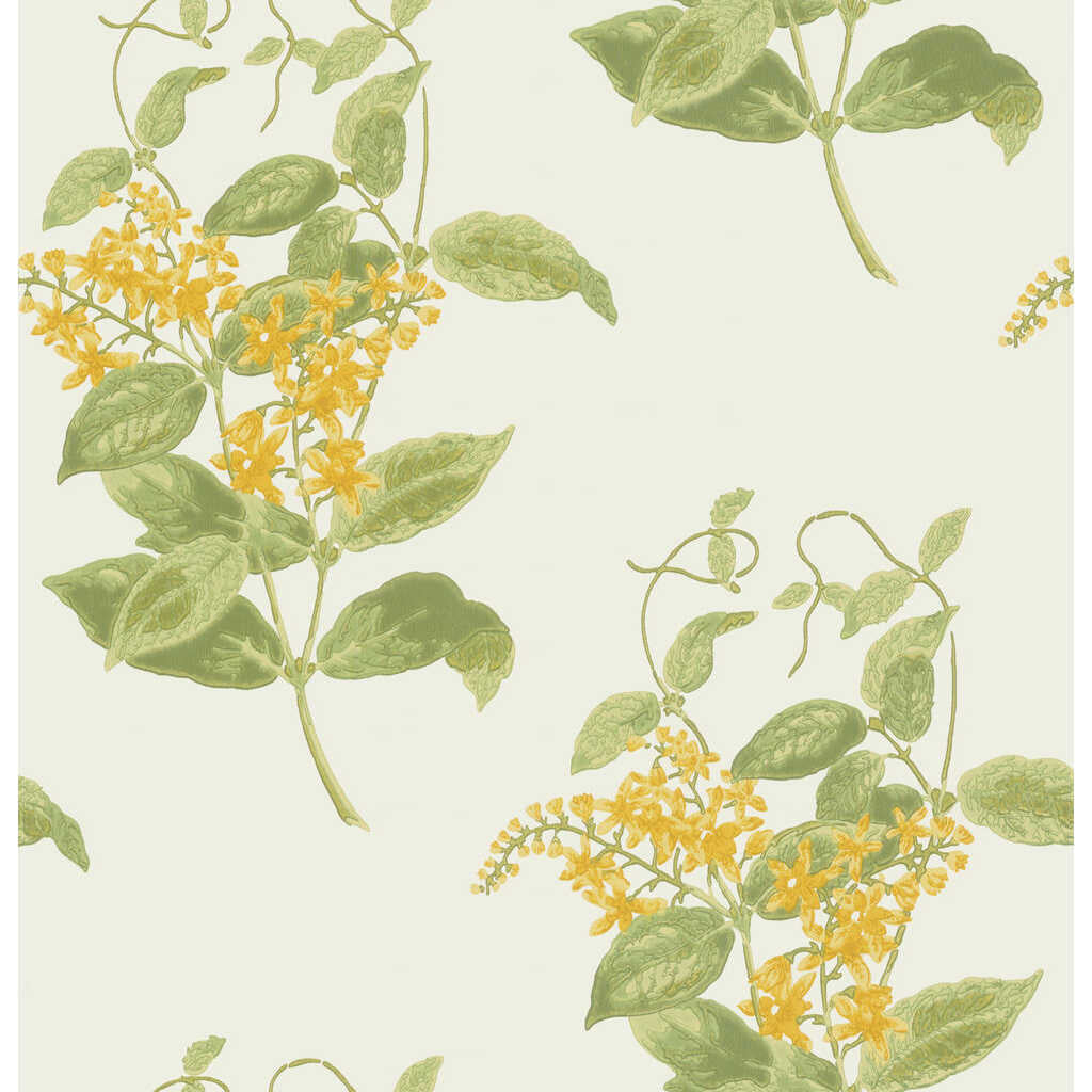 Madras Violet - Yellow
