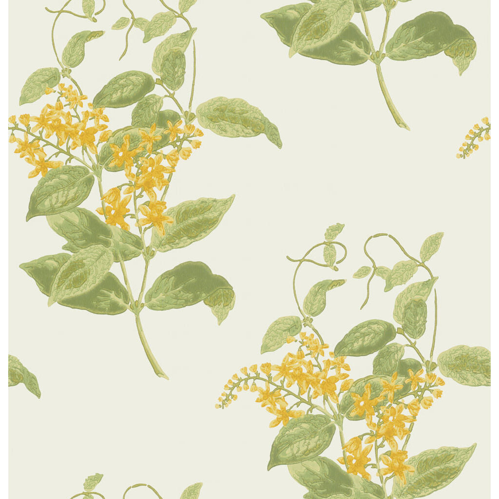 Madras Violet - Yellow - Cole & Son Wallpaper