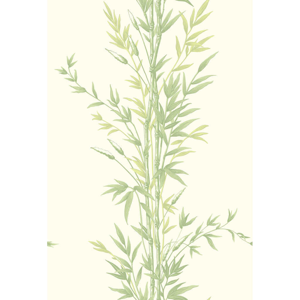 Bamboo - Green