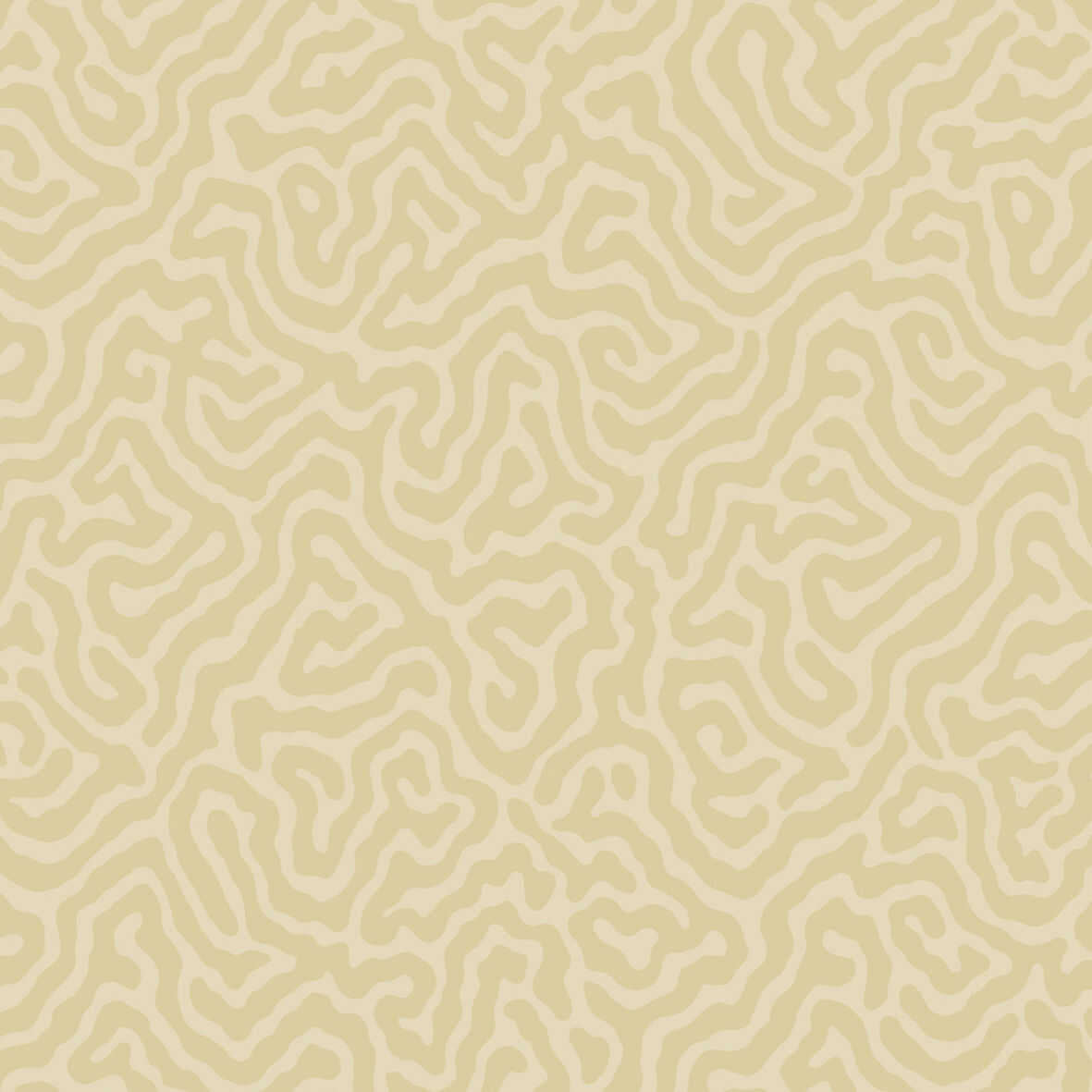 Coral - Cream - COLE & SON Wallpaper