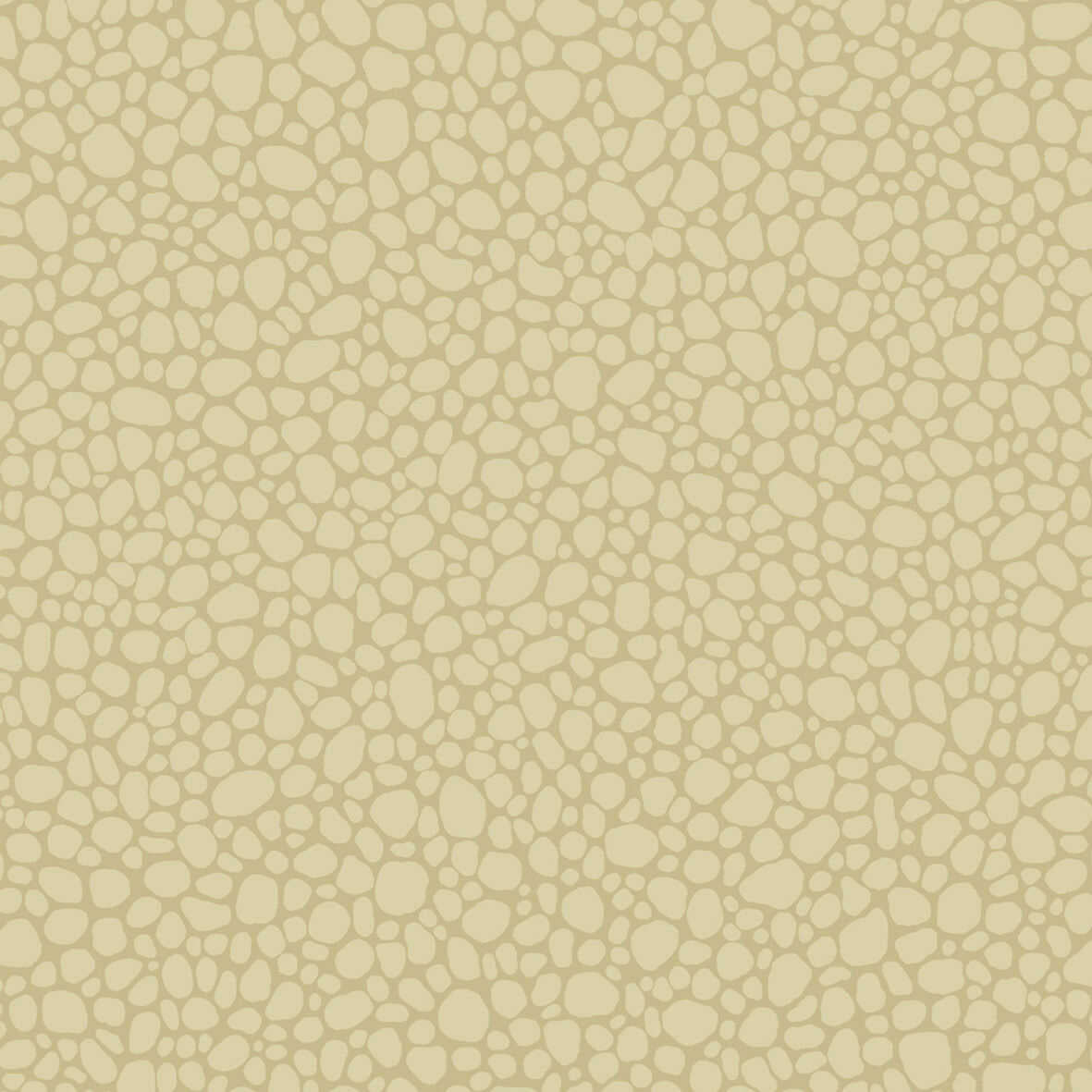 Pebble - Latte - COLE & SON Wallpaper