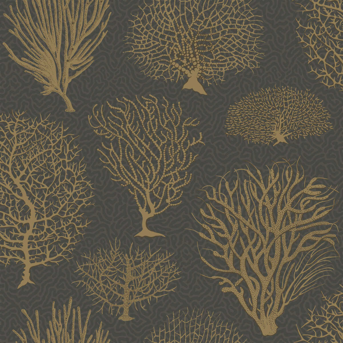 Seafern - Black & Gold - COLE & SON Wallpaper