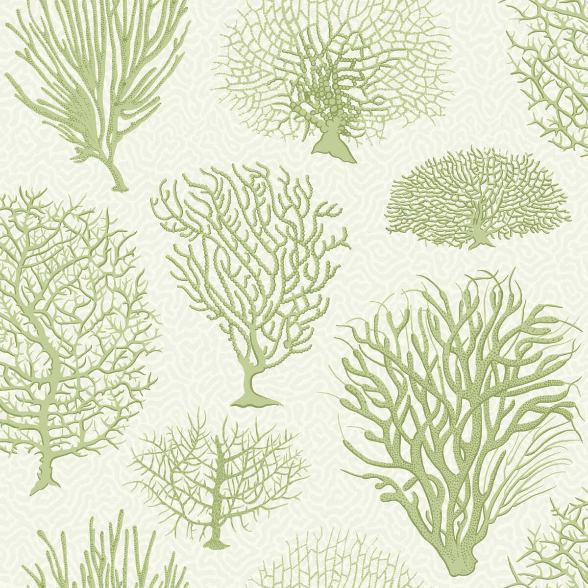 Seafern - Soft Green - COLE & SON Papel pintado